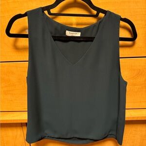 Aritzia Babaton V neck Blouse